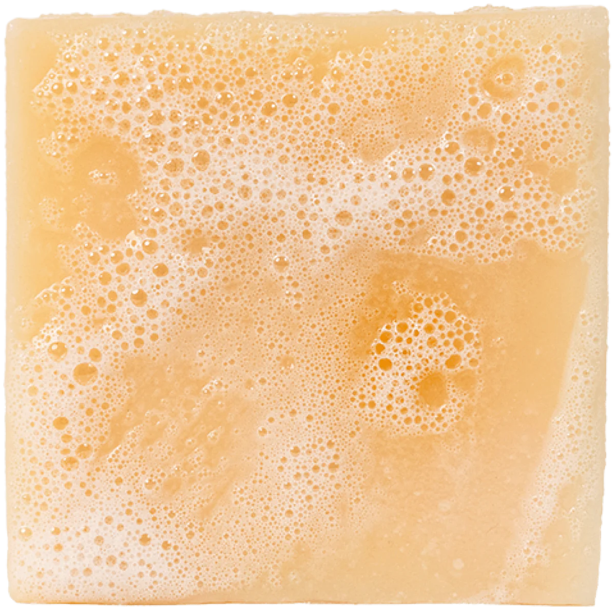 Bar Soap ALPINE SAGE Dr. Squatch